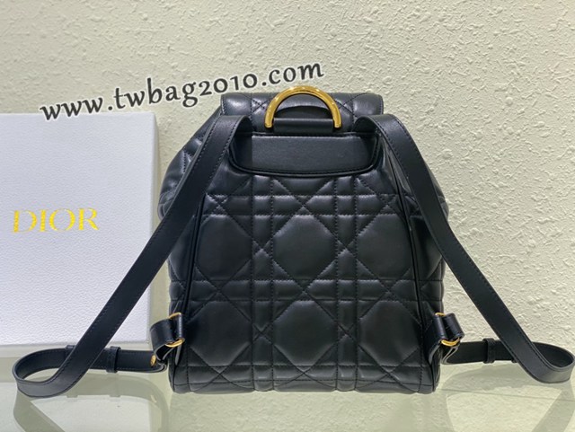 Dior专柜2025早春新款迪奥高仿原单大号Caro双肩背包女士后背包 djfk1823